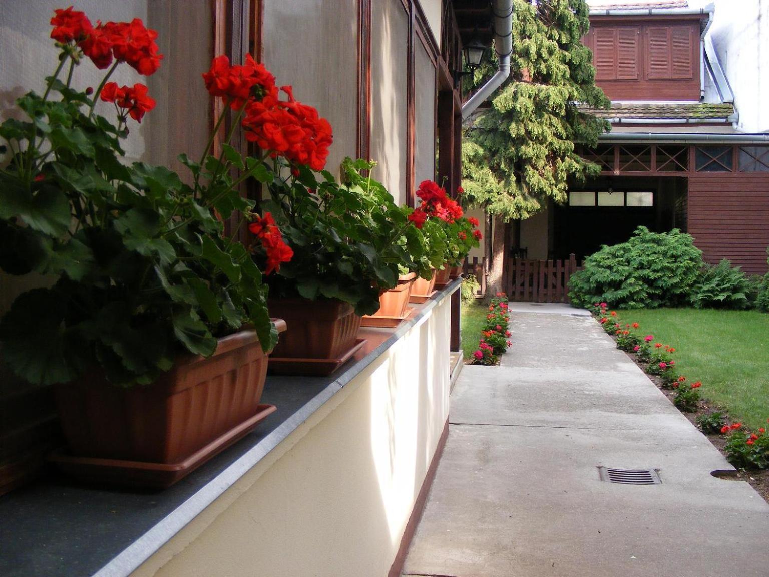 Hotel Fama Hodmezovasarhely Exterior photo